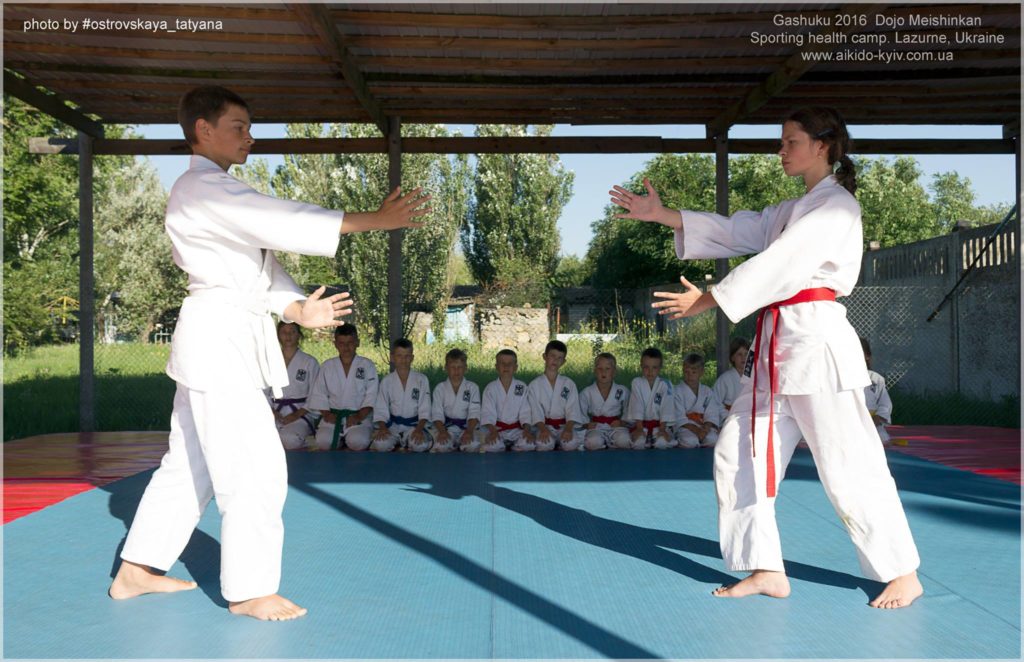 aikido_yoshinkan_pozniaky-556