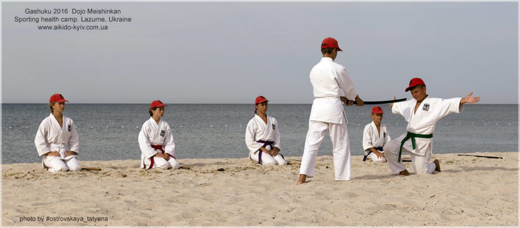 aikido_yoshinkan_pozniaky-576