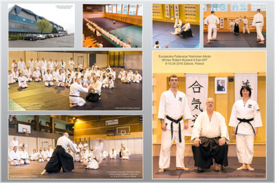 Aikido Yoshinkan Seminar. Pobert Mustard Shihan 8 Dan. Dojo Meishinkan.